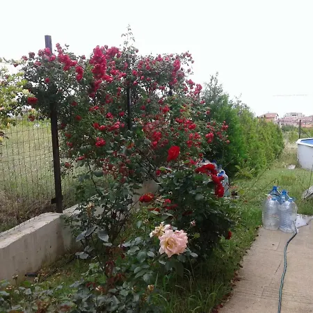 Guest house The House Of The Roses *